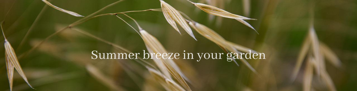 Summer breeze in your garden