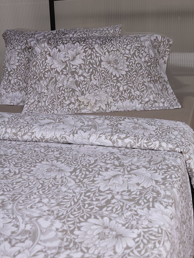 Lavilla Sheet Set 250X280 Super Double Chelsea A222004